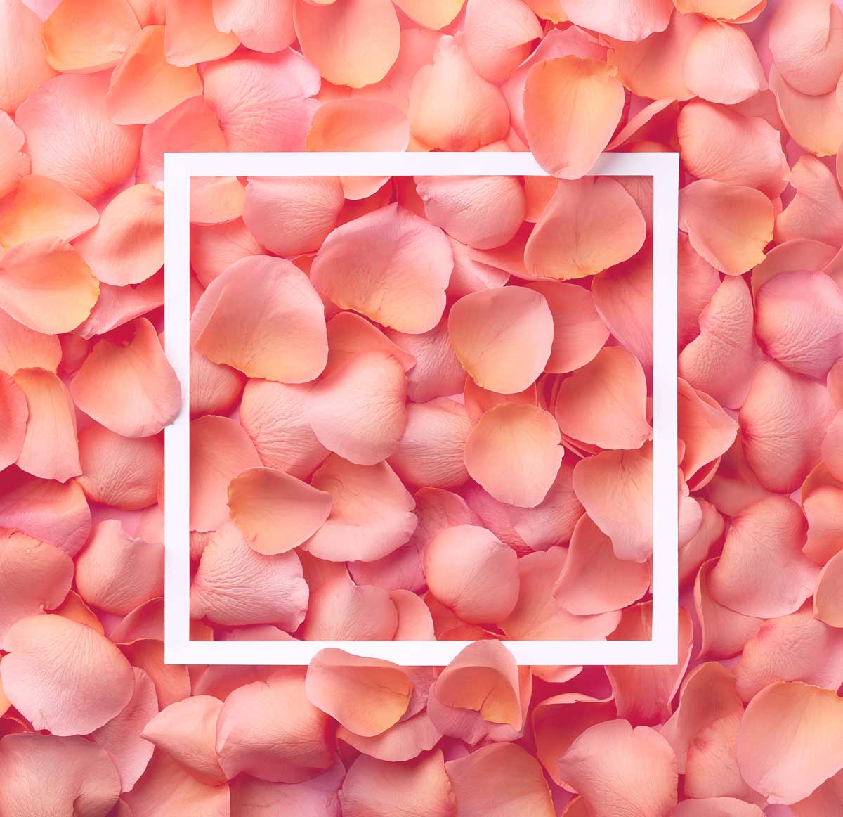 Folie Für Küchenrückwand